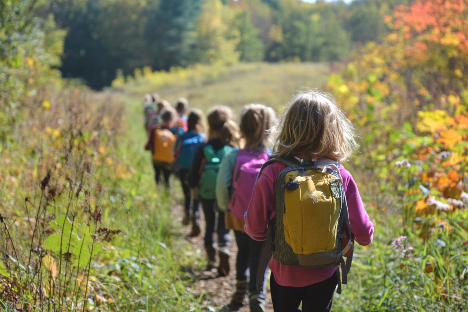 Eine Gruppe von Kindern wandert in der Natur.