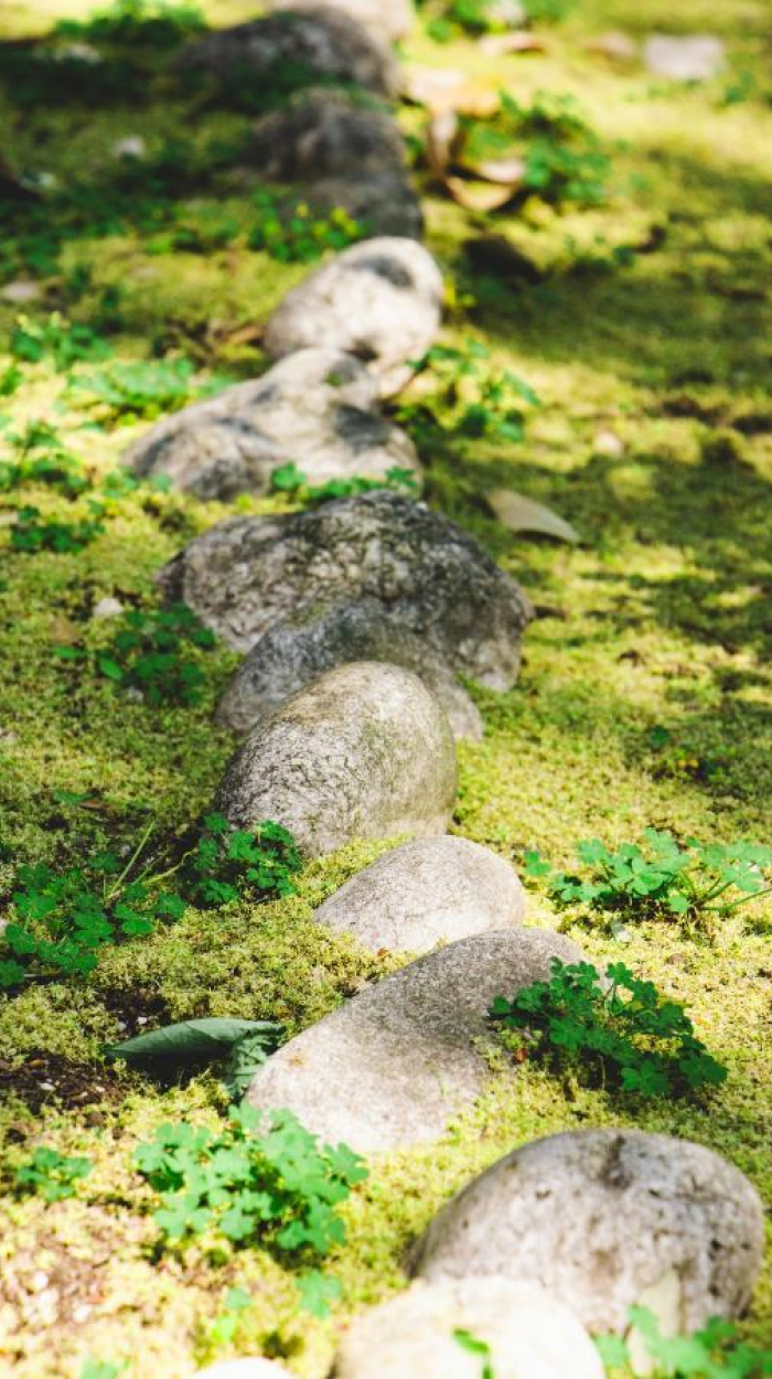 Eine grüne Wiese mit einem Steinweg.
