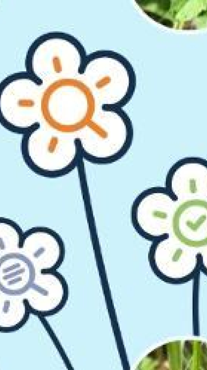 Die Flora-Incognita-App zeigt verschiedene Blumenarten.