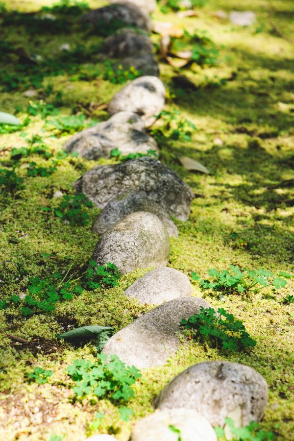Eine grüne Wiese mit einem Steinweg.